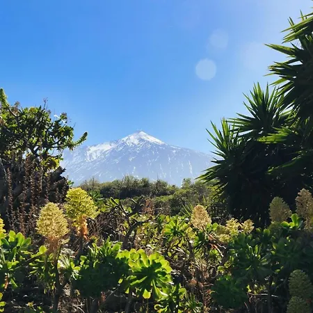 Lejlighed Vino Tinto 2 Icod De Los Vinos