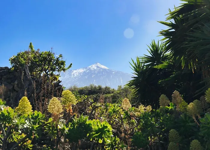 Апартаменты Vino Tinto 2 Икод-де-лос-Винос