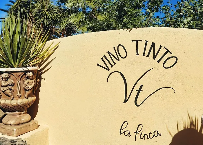 Vino Tinto 2 * Icod De Los Vinos